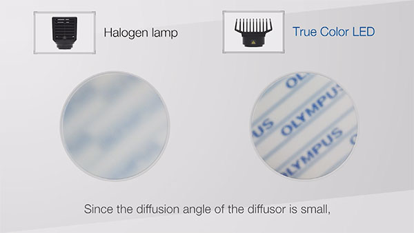 그림 5: 할로겐램프(왼쪽)와 트루컬러 LED(오른쪽)의 확산 비교