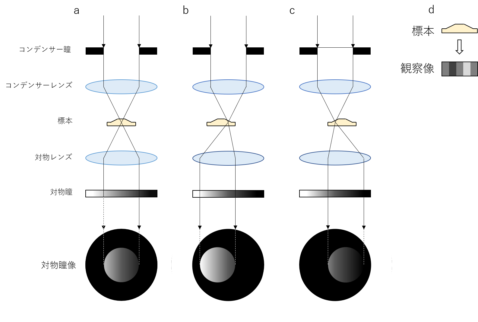 図2．グラディエントコントラスト法の作用原理説明図