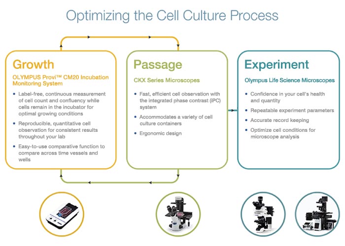 使用系统化细胞培养工作流程来加速实验成功| Olympus LS