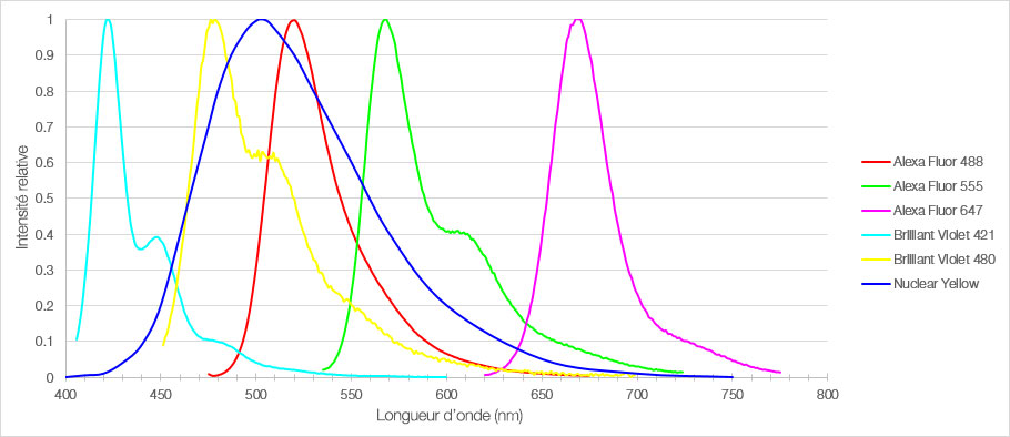 Figure 1 : Spectres d’émission des six fluorophores utilisés pour marquer les coupes de cortex préfrontal interne de souris.