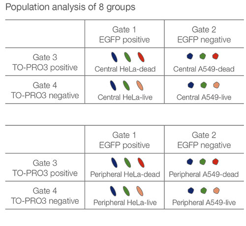Population analysis of 8 groups