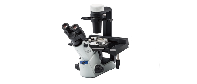 CKX53 cell culture microscope