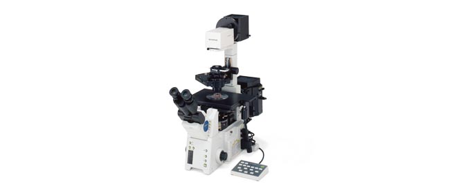 IX81 inverted microscope