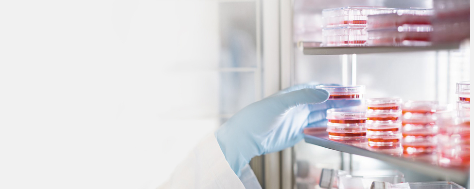 Free Webinar: Good Cell Culture Practice