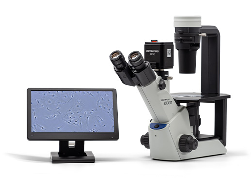 培養顕微鏡 CKX53 | オリンパス ライフサイエンス