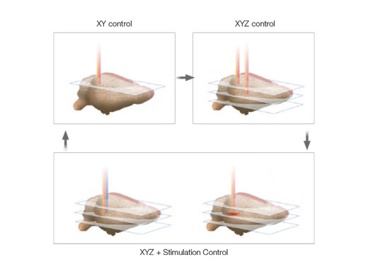 Microsecond Timing for Electrophysiology and Optogenetics