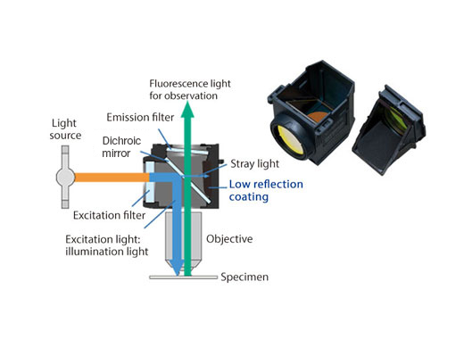 研究用顕微鏡 | オリンパス ライフサイエンス
