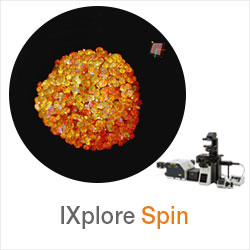 IXplore Spin