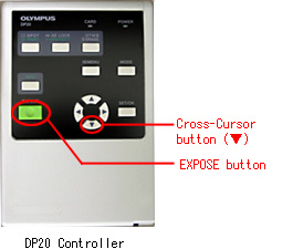 DP20 Controller