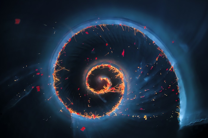 Microscope artwork of a sea snail