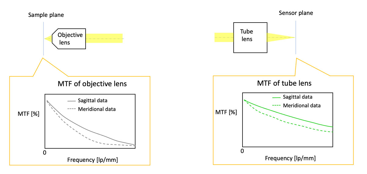 Curvas MTF de una lente de objetivo y una lente de tubo