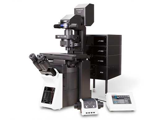 The modular FLUOVIEW FV4000 confocal laser scanning system offers an NIR imaging solution