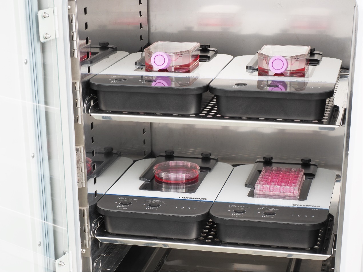 Sistema de monitoramento de incubação para cultura de organoides