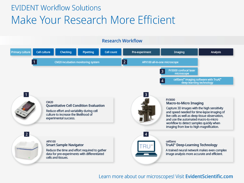 Infographie : Les solutions d’EVIDENT pour l’optimisation des procédures rendent vos travaux de recherche plus efficaces