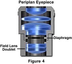 Types of hot sale eyepiece