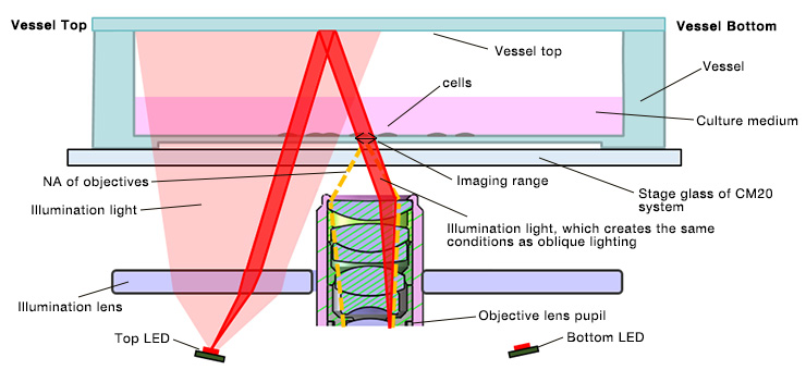 Figura 5. Configuración de la iluminación epi-oblicua (vista lateral)