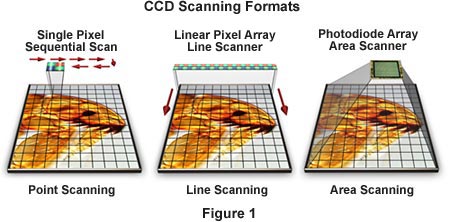 Digital Imaging In Optical Microscopy - Concepts In Digital Imaging ...