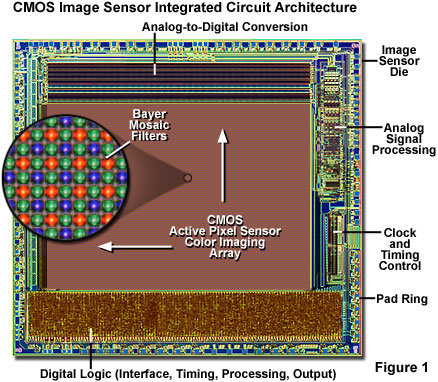 Digital Imaging in Optical Microscopy - Introduction to CMOS Image Sensors