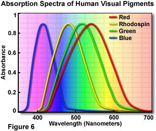 human colour spectrum