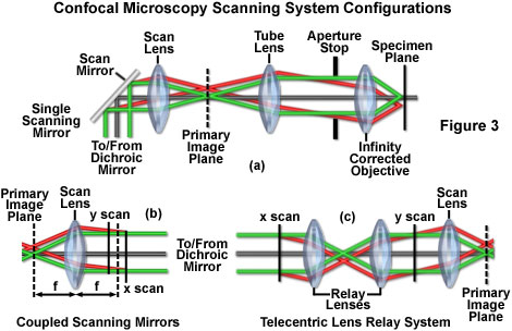 Confocal Microscopy - Confocal Microscope Scanning Systems | Olympus LS