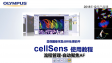 cellSens acquisition-process manager06-autofocus