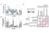 Comparación de líneas celulares humanas iPS con el sistema de monitorización de incubación / CM20: Variaciones en la eficiencia de la diferenciación de organoides hepáticos derivados de células iPS