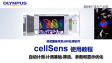cellSens analysis-count and measure04-automatic count and measure-filter,parameters and display