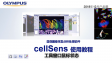 cellSens before using-synchronize image windows and exsplanation of mouse