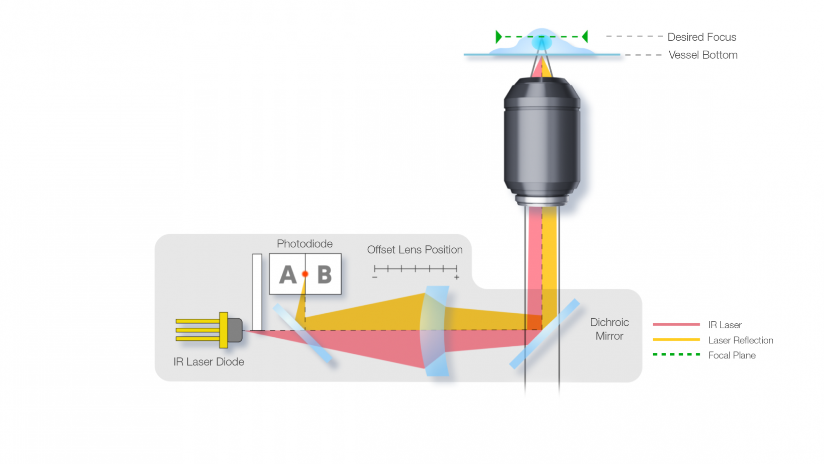 Mise au point automatique à laser infrarouge (IR) basée sur le IX83 ZDC