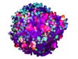 Análise 3D de esferoides tumorais de cocultura usando o software NoviSight™