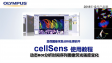 cellSens analysis-use Intensity profile and dynamic ROI to measure timelapse intensity