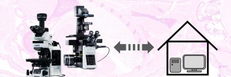 Online-Mikroskopie