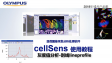 cellSens 분석-라인프로파일을 사용하여 강도 측정