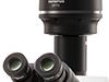 What to Consider When Choosing a Microscope Camera