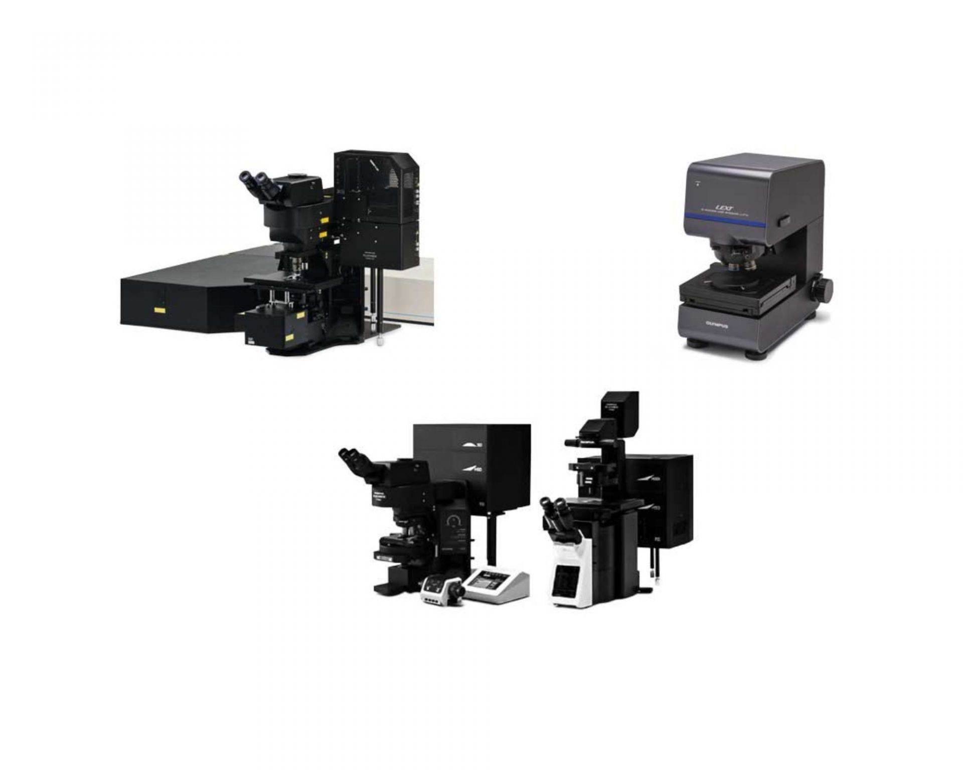 Confocal Laser Scanning Microscopes Olympus Ls