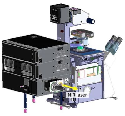 図2. 共焦点顕微鏡とアップコンバージョン用レーザー導入ユニット例